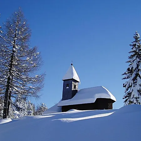 公寓式酒店 施泰纳旅馆 3*