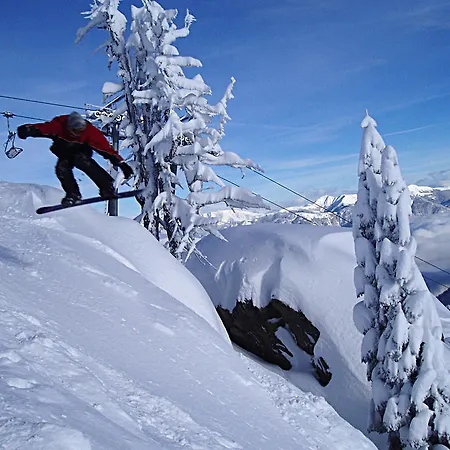 施泰纳旅馆 公寓式酒店