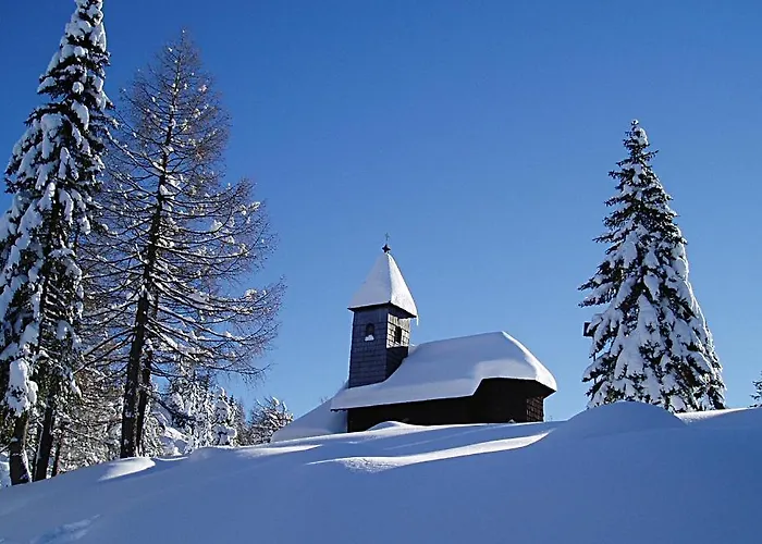 Aparthotel Gastehaus Steiner 3*