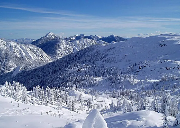 Gastehaus Steiner 3* Tropolach