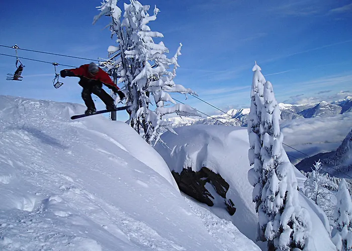 Gastehaus Steiner Aparthotel